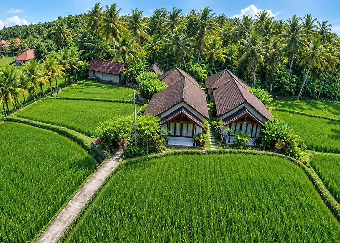 Amaya Ricefield & Jungle Cottages By Best Living