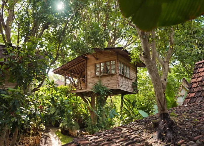 Roots Tree House - Boutique Hotel - Uluwatu