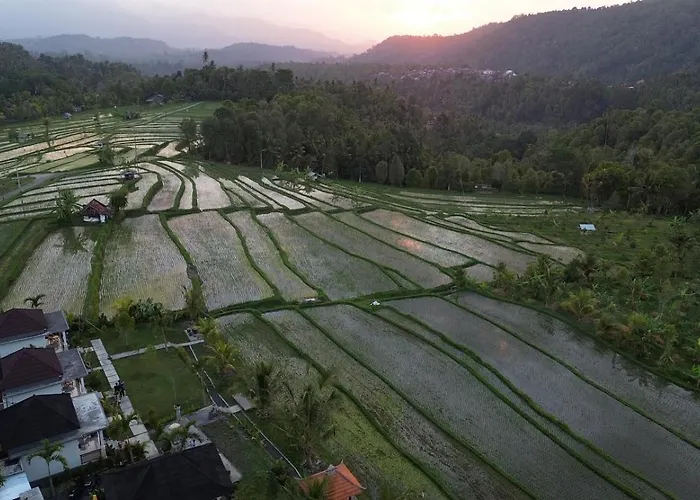 Umaku Bali Homestay