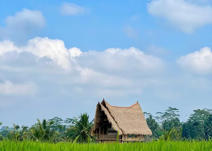 The Kanata Bamboo House