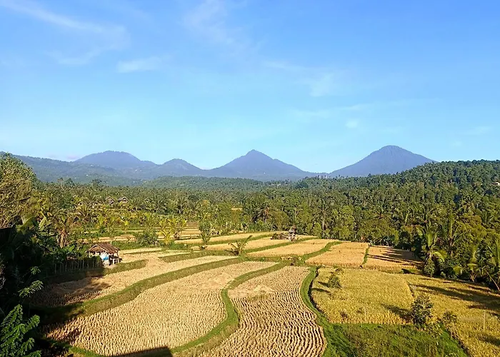 Bali Harmoni