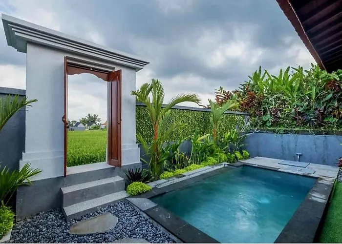 Serene Villa With Private Pool And Rice Field Views