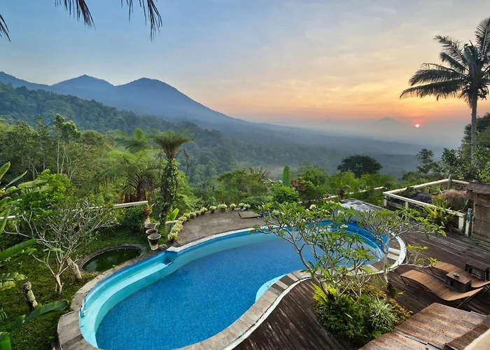 Dwan Tea Mountain Side