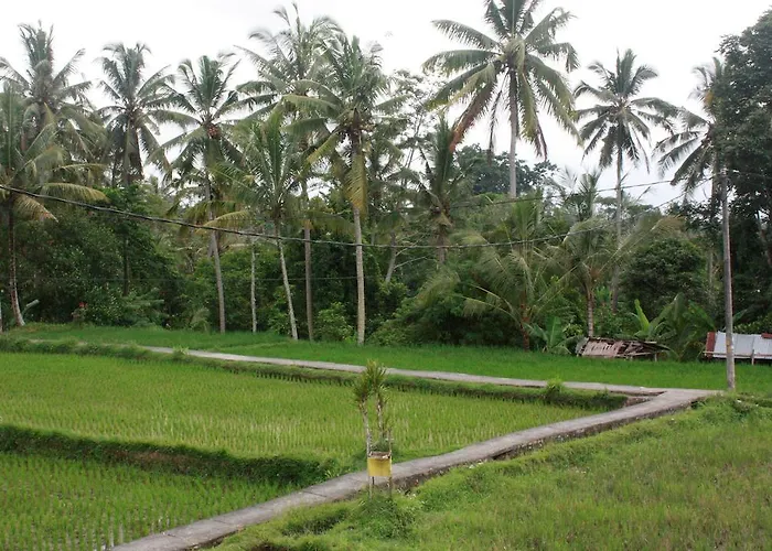9Th House