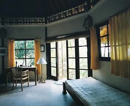 Gaia-Oasis Pantai