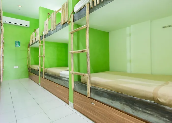 The Eco-Living Hostel