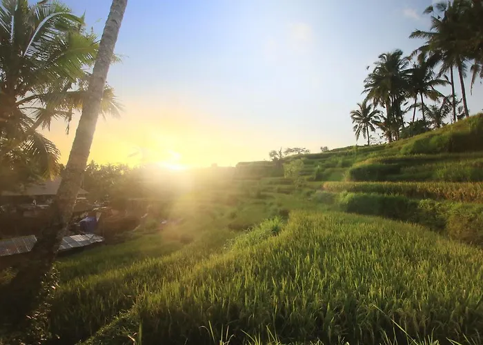 The Sunset House Ubud
