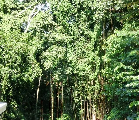 ラトゥグ ホームステイ ウブド