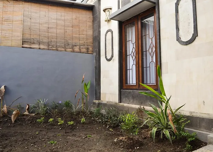The Serene Guesthouse