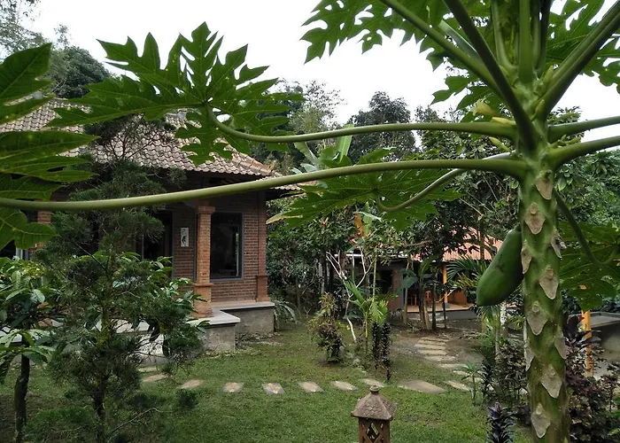 Dina Homestay