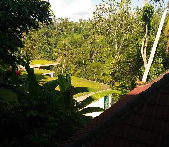Punia'S Jungle