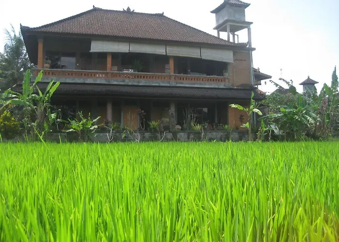 Ubud Sensasi