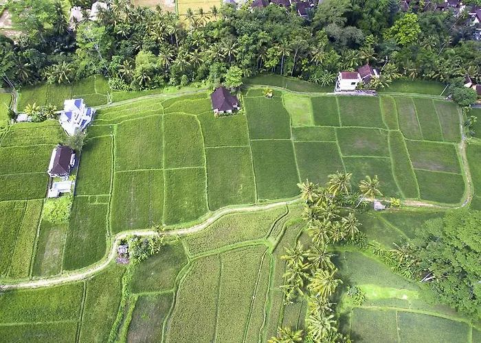 Sunset House Ubud