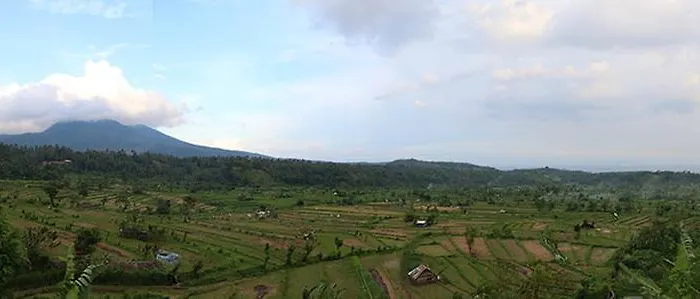 Pandan Guest House