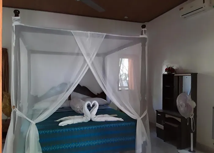 Blue Star Bungalows & Cafe