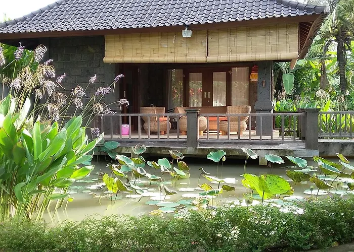 Natural Lodge 2