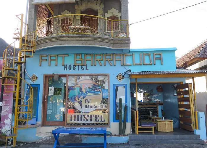 Fat Barracuda Hostel
