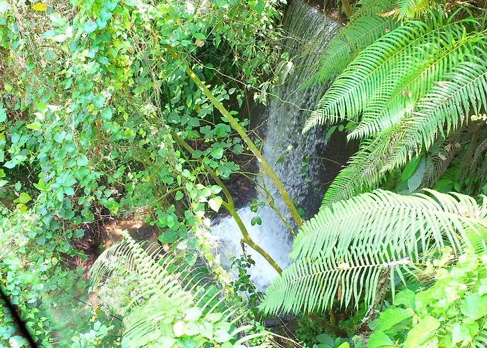 Step Ubud Training Hotel