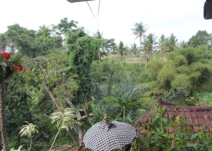 Ogek Home Stay