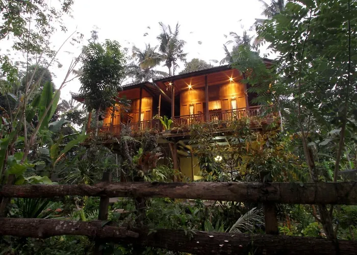 Jungle Joglo