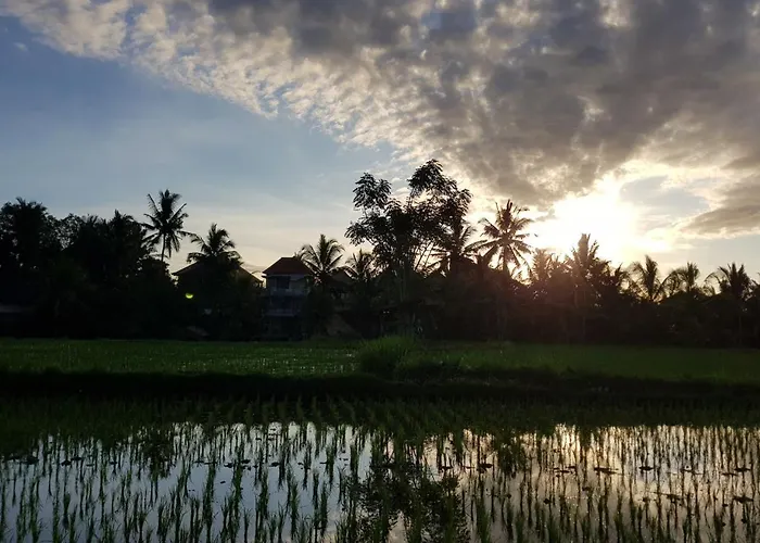 Aroem Ubud