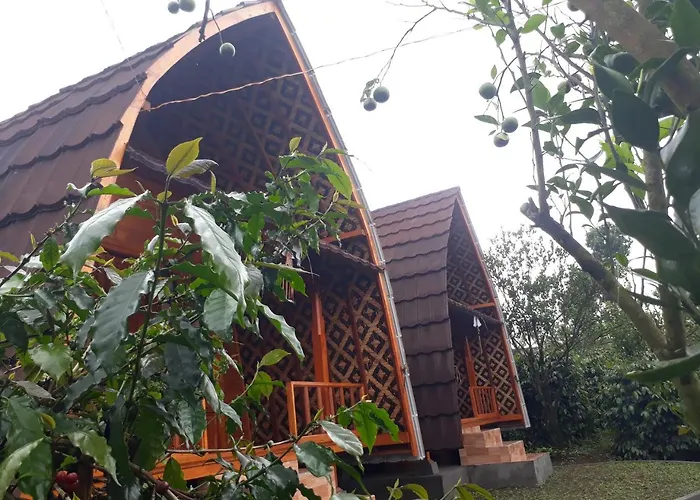 D'Umah Coffee
