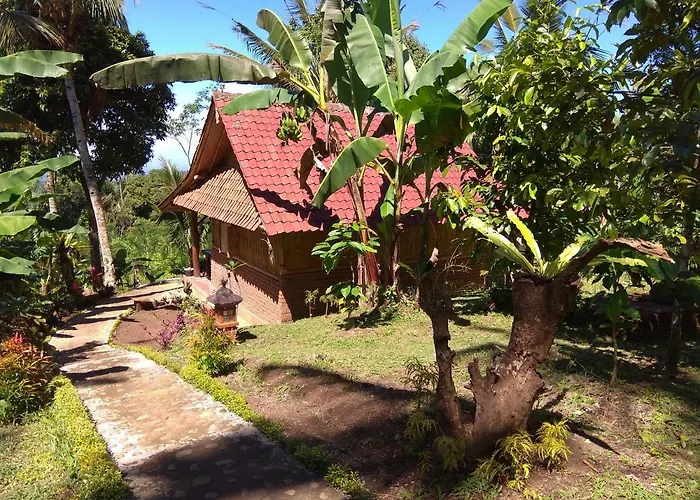 Bali Mountain Forest Cabin