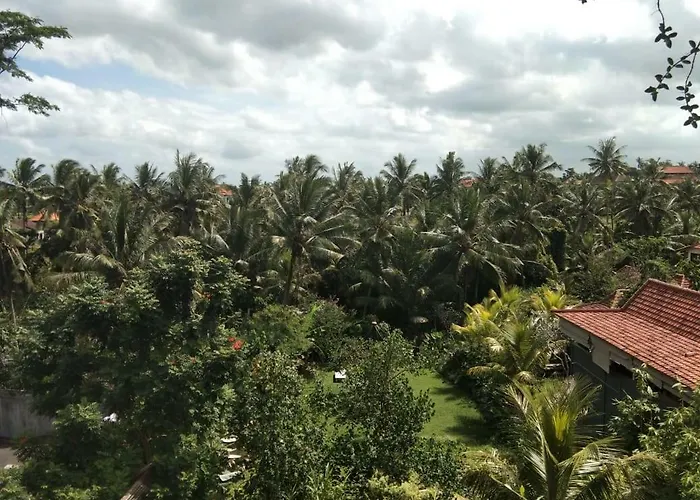 Coconow Ubud