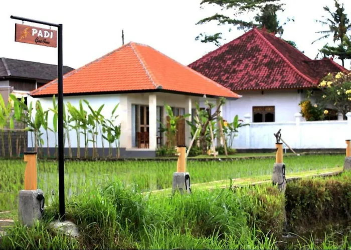 Padi Guest House