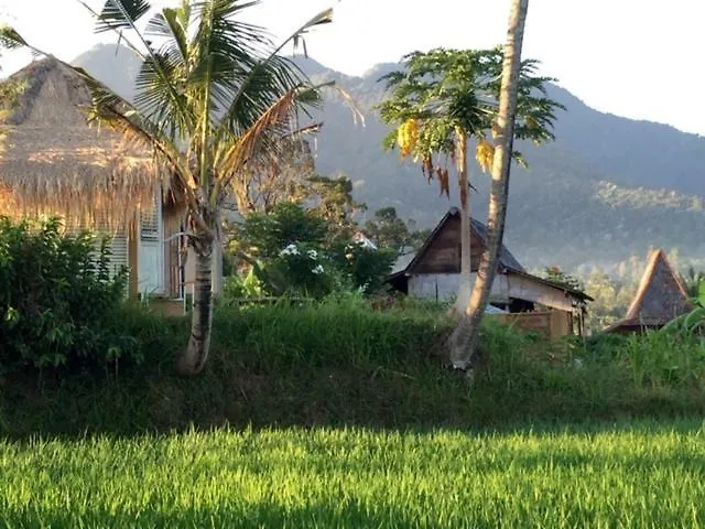 Sunsetsala