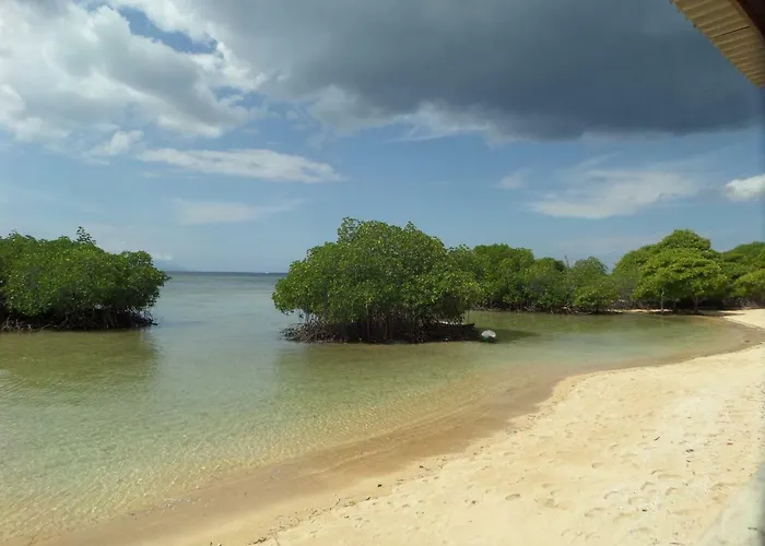 Mangrove Paradise Retreat