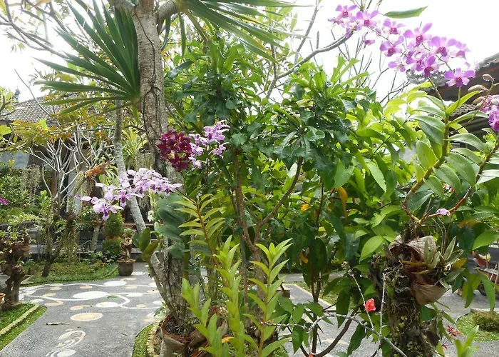 Milla Homestay