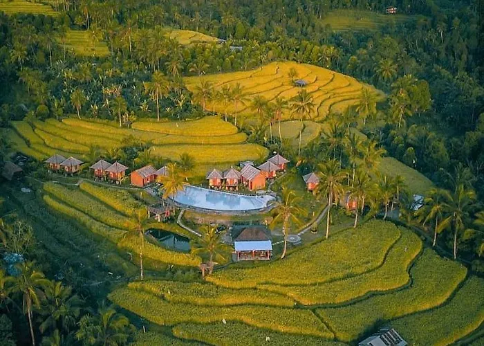 Puri Sunny Camp