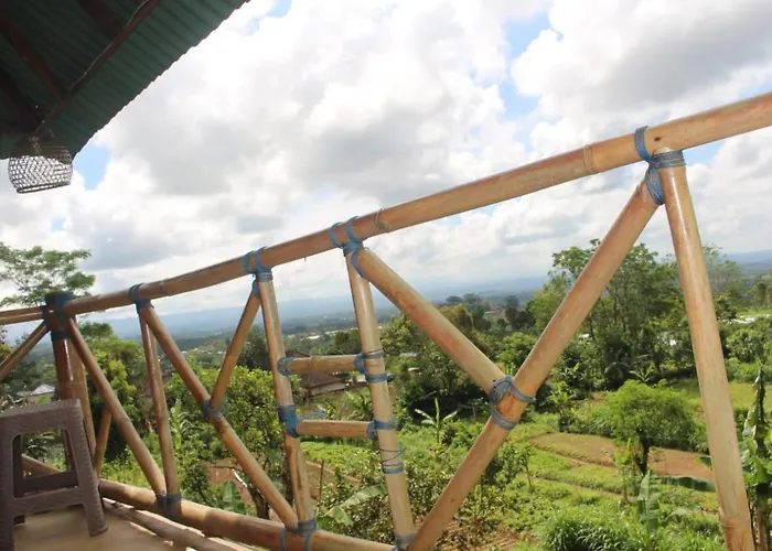 Bali Tree House Pelangi