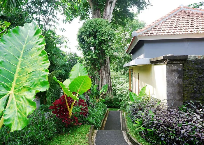 Bunut Moding Ubud